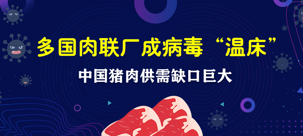 多国肉联厂成病毒“温床”，我们餐桌上的猪肉还好吗？