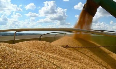 国产大豆价格持续走高有何“玄机”？黑龙江省大豆协会会长回应市场关心的热点问题