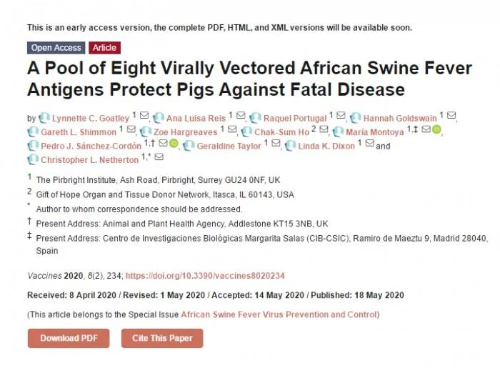 非洲猪瘟载体疫苗