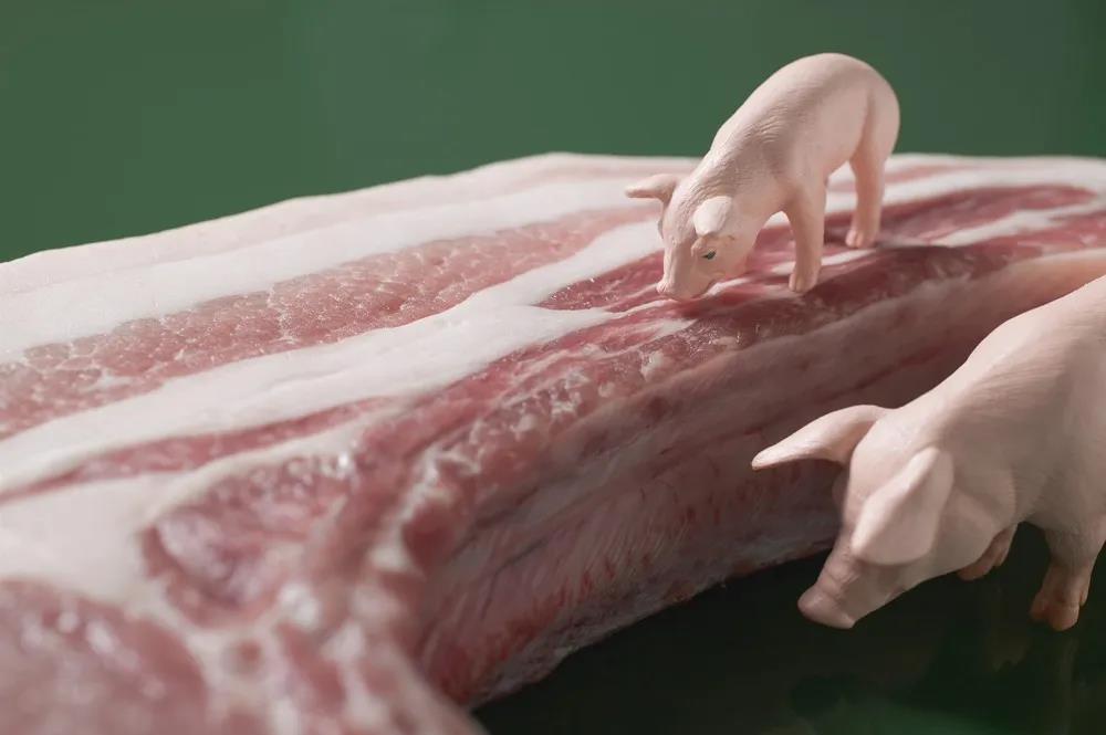 6月29日全国各地区猪肉价格报价表，稳中上涨，局部保持稳定！