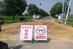 广西、云南警惕！越南非洲猪瘟抵近中越边境