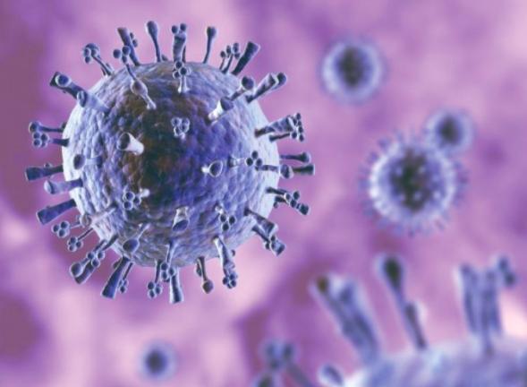 中国研究人员发现新型猪流感病毒,由猪流感“H1N1”演变所生