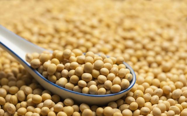 7月日均新增9000吨产能，东北豆粕价格能否延续沿海地区高位？