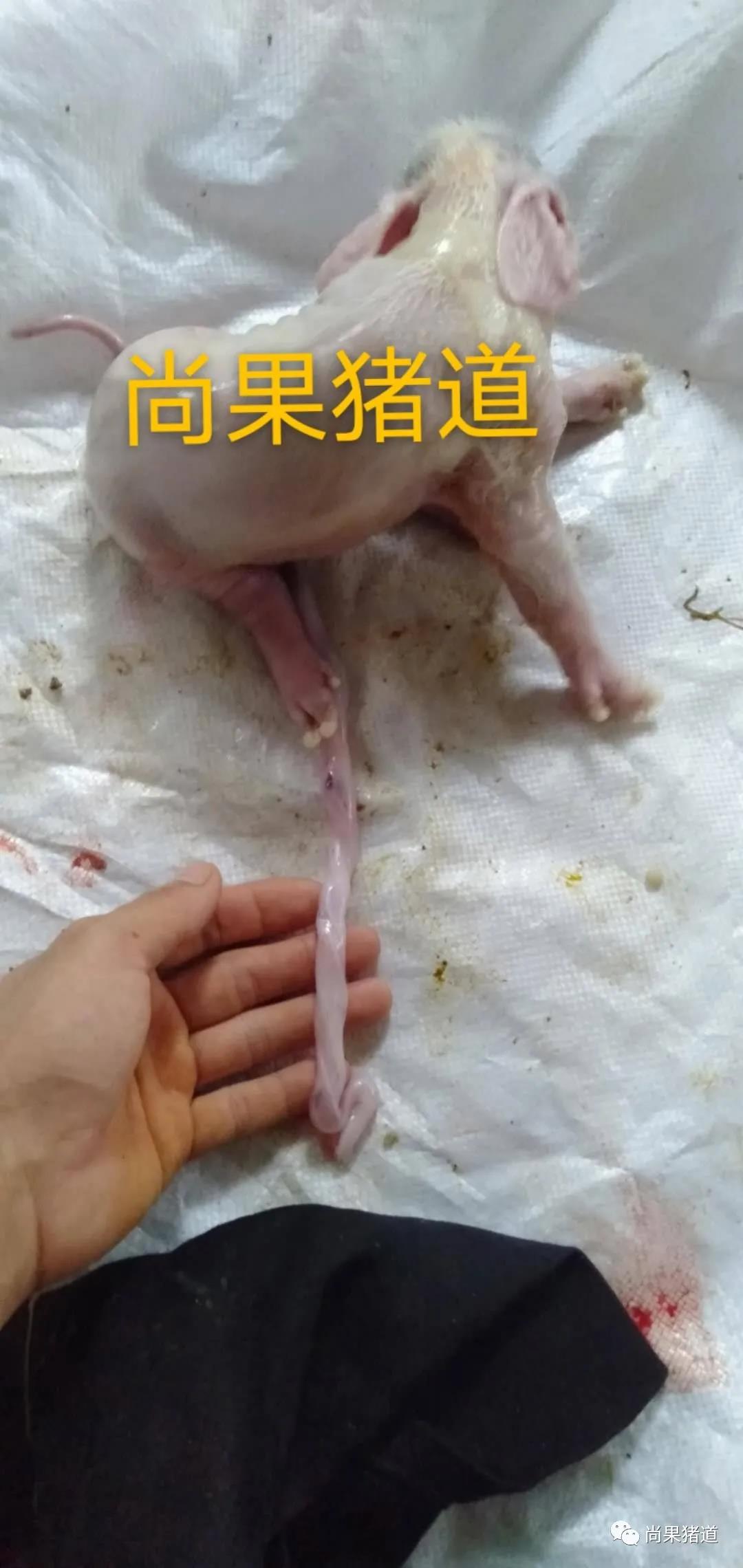 案例