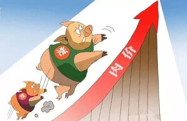 肉价