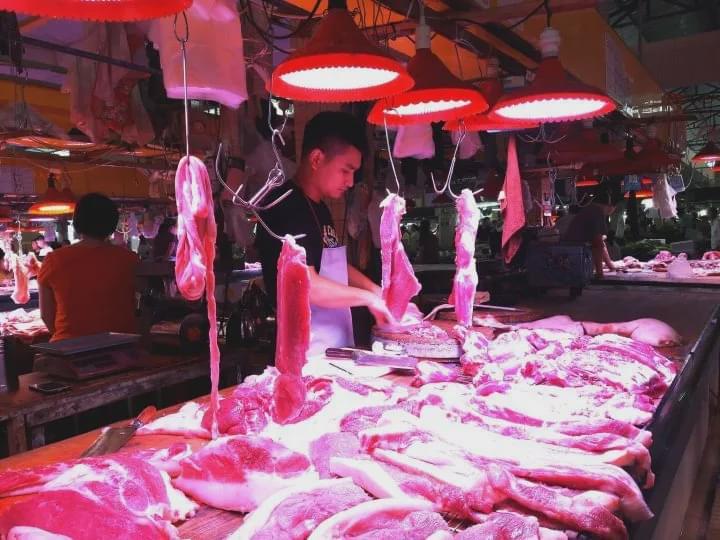 6月生猪价格反弹上涨21%，未来猪肉价格走势如何？
