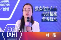 IAHI听课笔记 ： 批次化生产下母猪精准营养技术