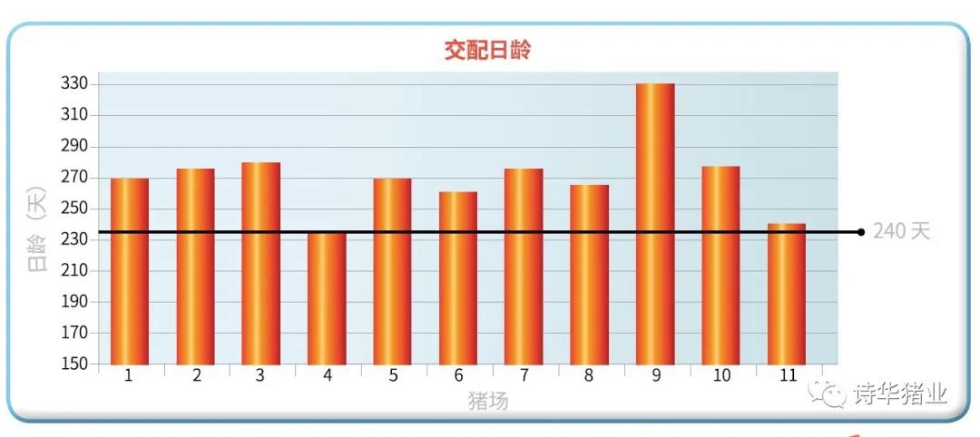 批次化生产