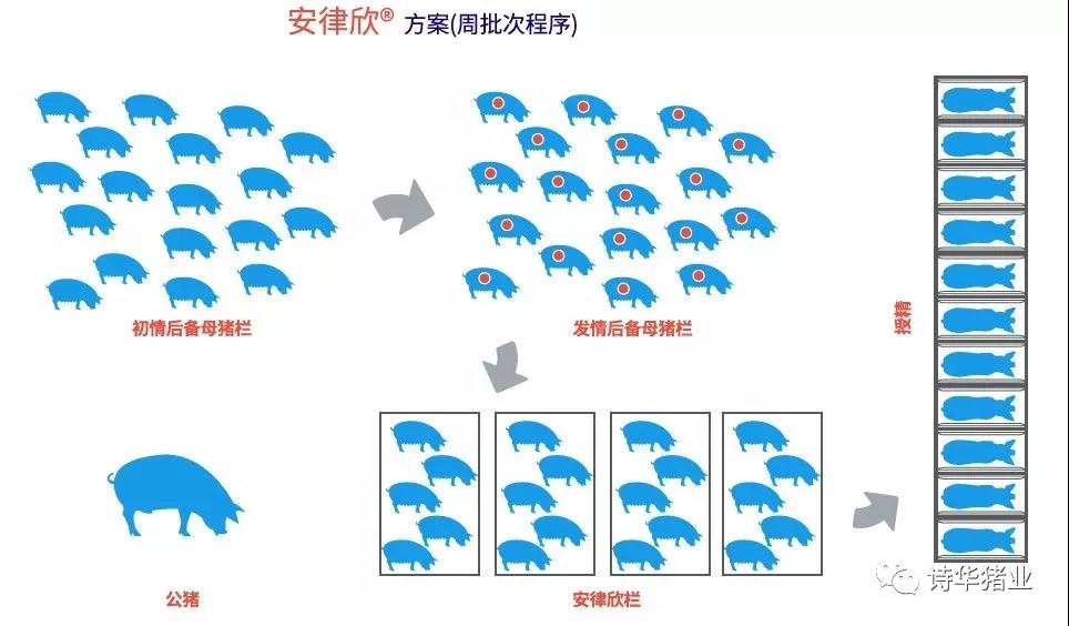 批次化生产