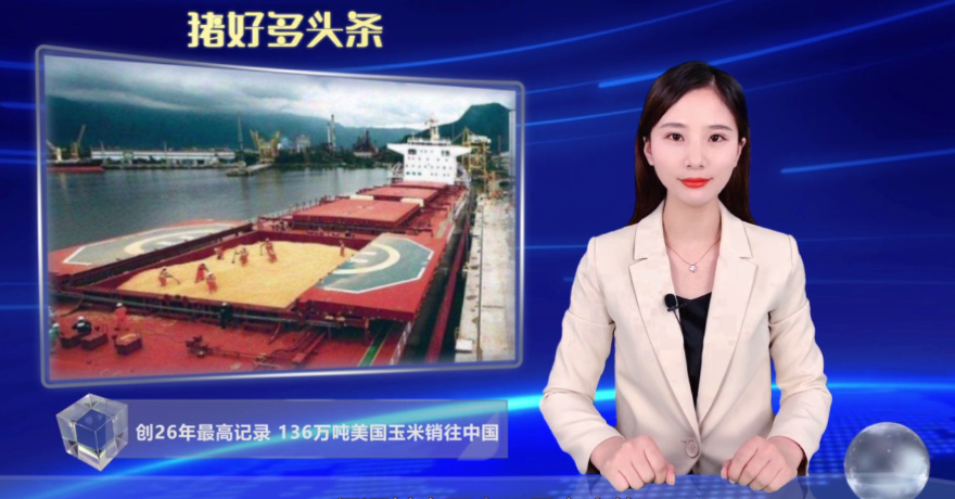 美国出口商向中国出售136万吨玉米，创26年以来最高日销量