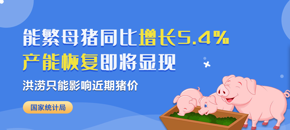 国家统计局：能繁母猪同比增长5.4%，洪涝只能影响近期猪价，产能恢复即将显现