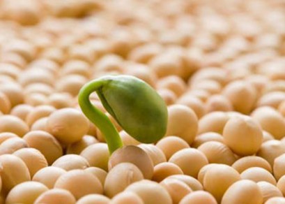 7月22日全国豆粕价格行情，保持上涨，后期有冲高回落的可能！