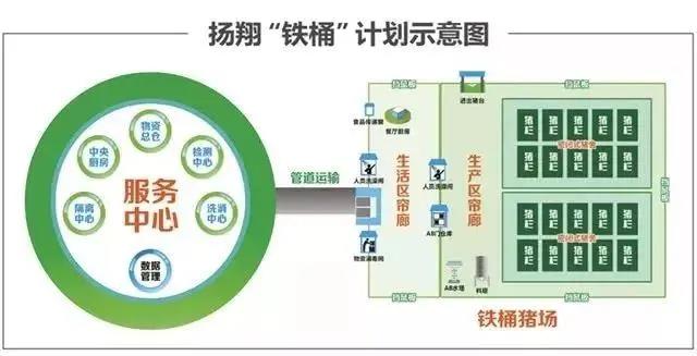 扬翔猪场