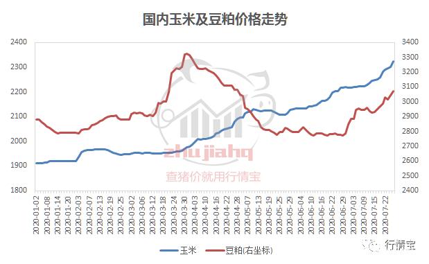 豆粕价格