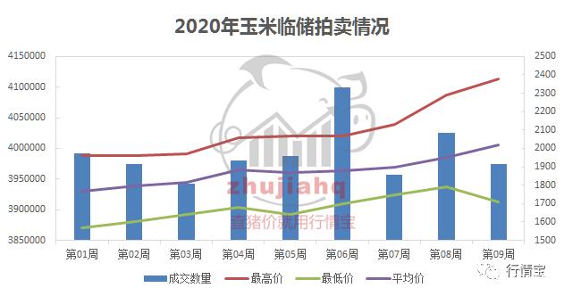 玉米临储拍卖