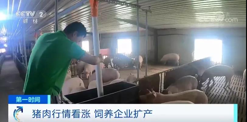 生猪产能恢复好于预期