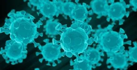 巴西发现猪流感新变种已有一人感染，专家称具有大流行潜力