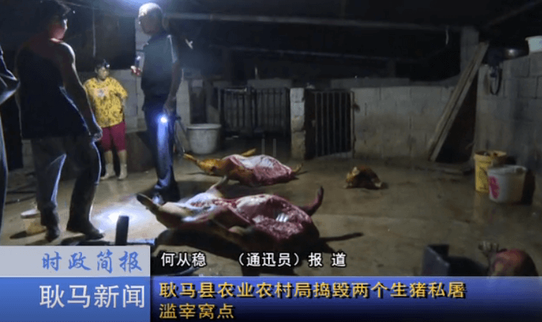 云南：耿马县农业农村局捣毁两个生猪私屠滥宰窝点 