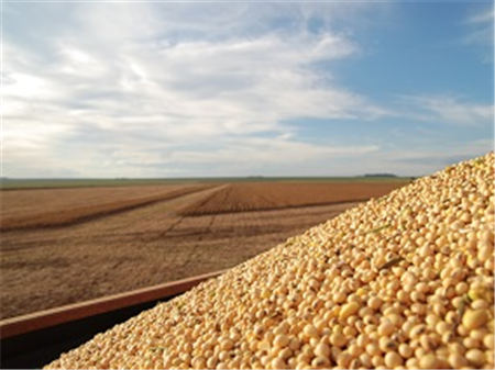 52.2万吨，中国再向美国发出大豆订单！其价格却水涨船高