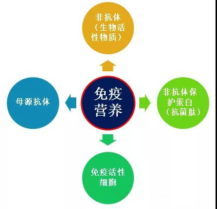 猪病防治