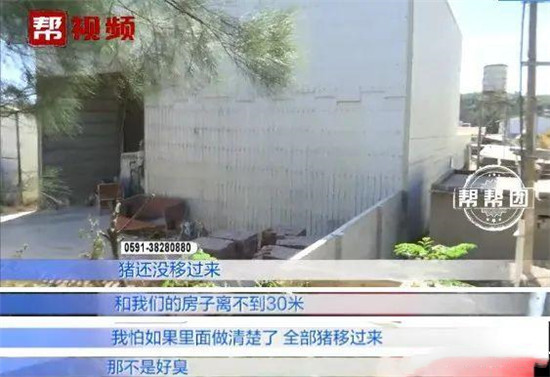 国内
