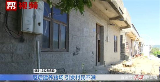 国内