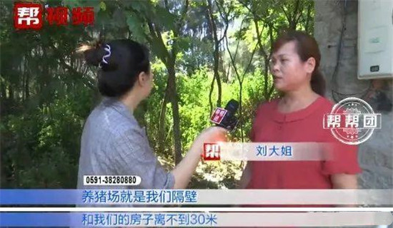 国内