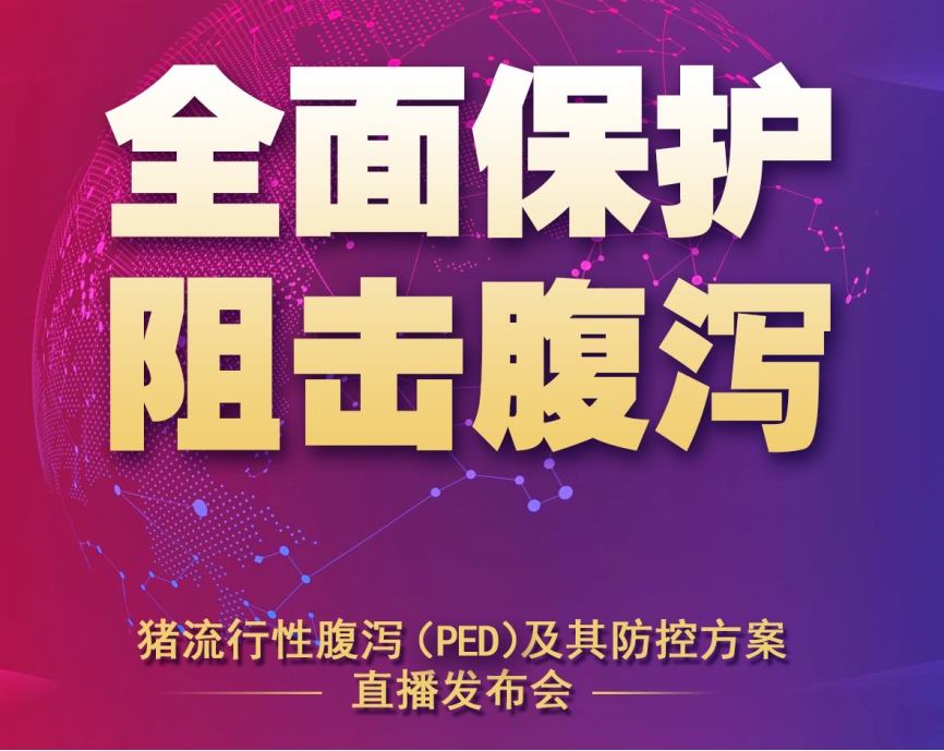 国内