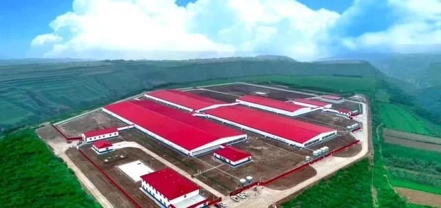 正大集团咸阳百万生猪养殖项目一期30万永寿项目成功投产