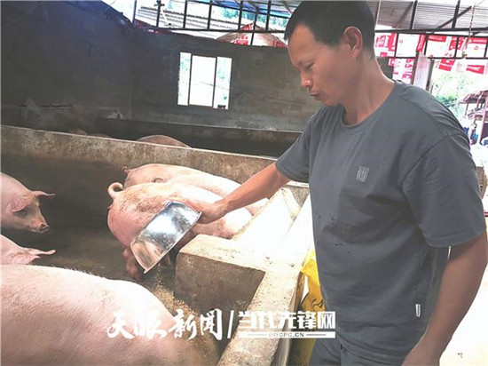 国内