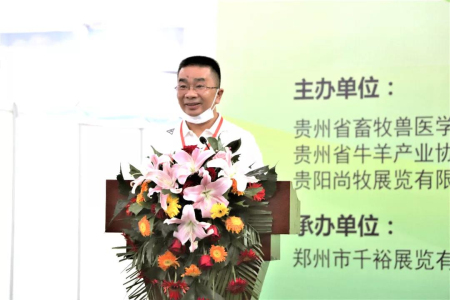 特驱集团副总裁刘国峰发言