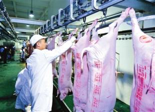 中央储备冻猪肉连投6周，年内累计50万吨！涨了两个月的肉价还会涨吗？