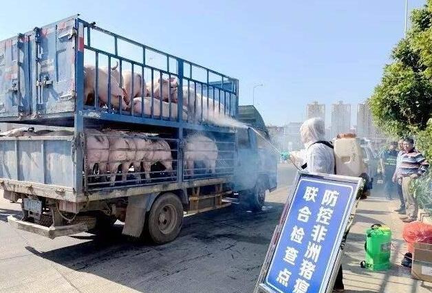 非洲猪瘟