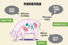 无抗时代下铁骑力士这样做，引专家频频点赞！