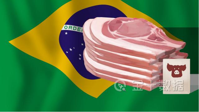 国内猪价大涨85%，我国加大进口巴西猪肉！此前因疫情停购7家肉厂