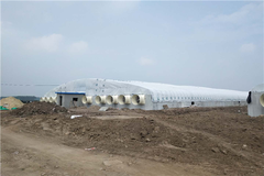 新希望六和首个单拱大跨度大棚种猪场竣工 单体猪场建造成本降低约35%