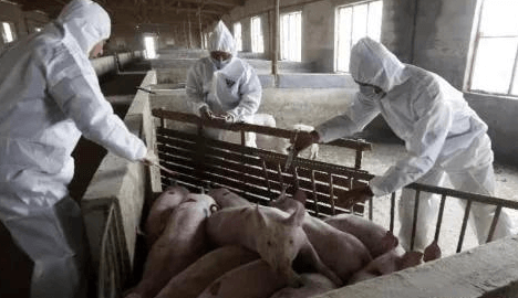 《非瘟常态防控技术指南》：生猪产业相关人员动物防疫行为规范