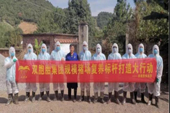 成功复养母猪180头，一年可赚400多万