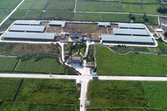 猪场故事：团结一致、迎难而上“猪场保卫战”