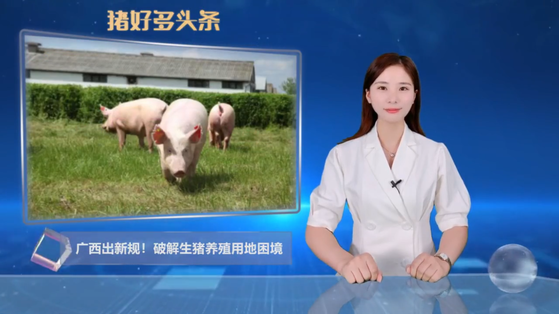  广西养猪新政策：两个关键点，切实破解生猪养殖用地困境！