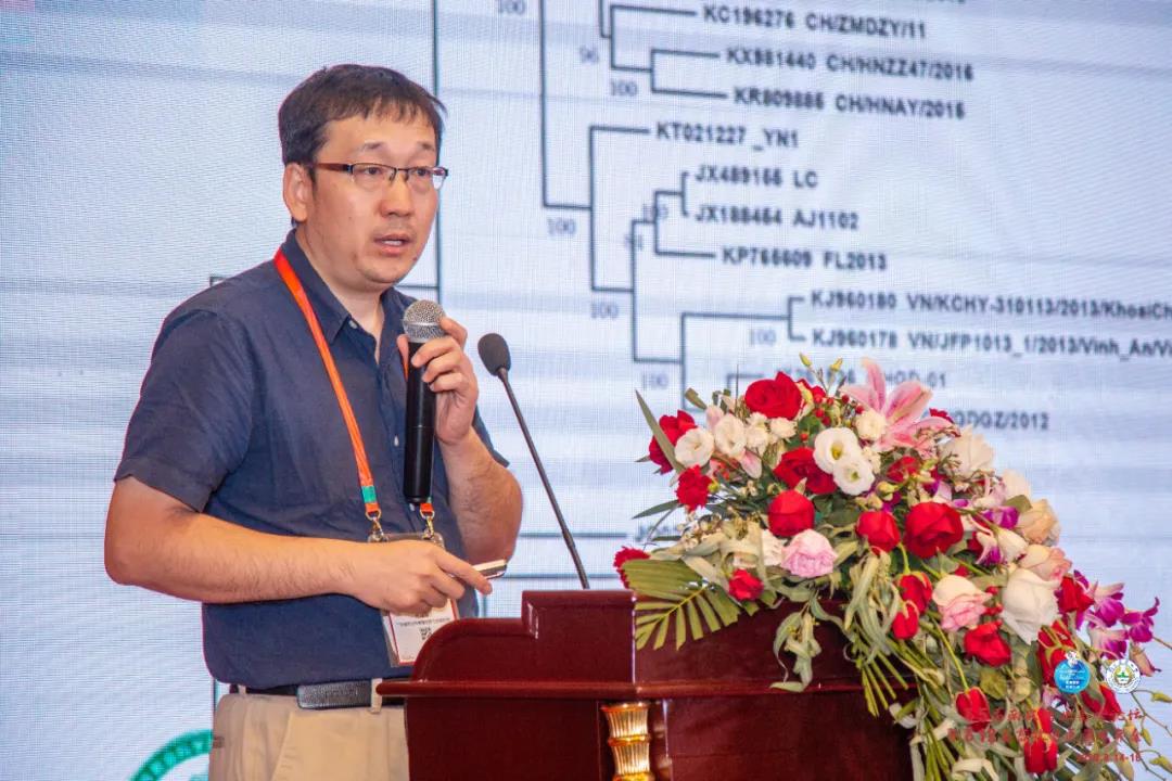 广东省农业科学院动物卫生研究所 生物技术研究室主任 张建峰博士