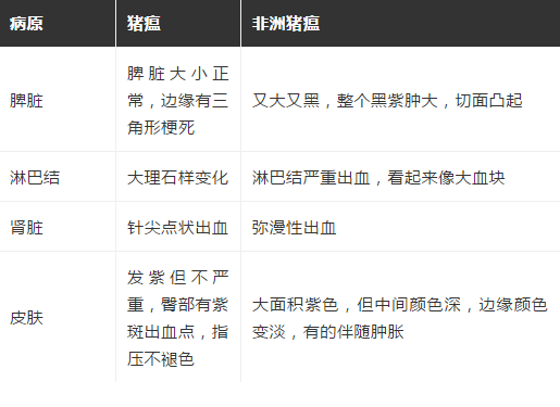 非瘟