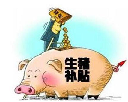 甘肃：生猪养殖企业将获贷款贴息支持，贷款贴息政策份两期实施