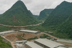再添核心育种场！那坡德康永安种场顺利引种投产
