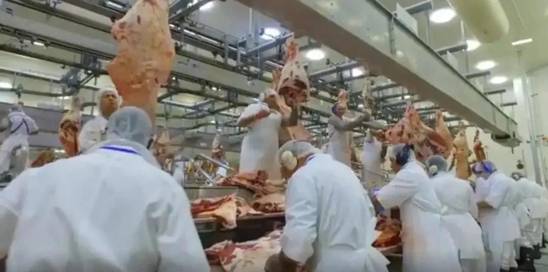 突发！巴西肉厂10万员工确诊！巴西曾承诺：对华出口肉类安全！