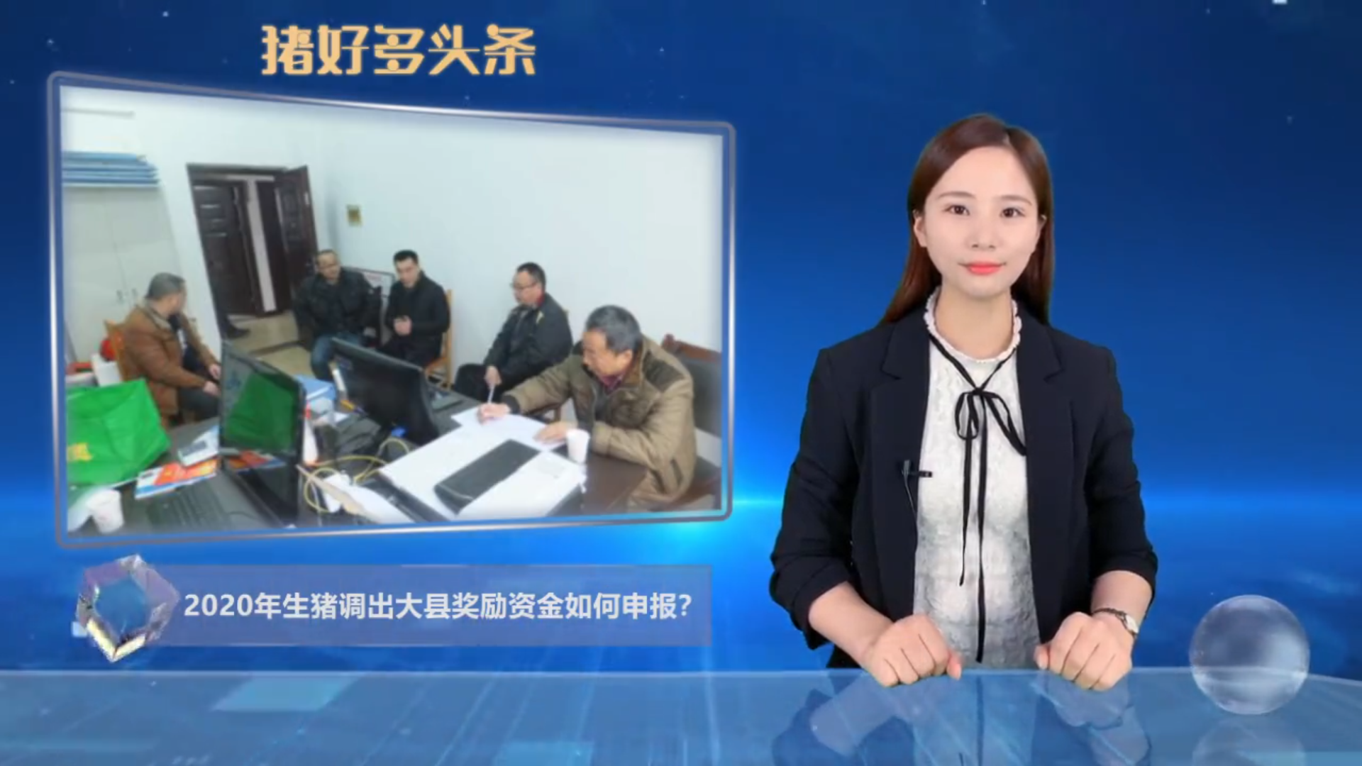  最新：生猪调出大县奖励资金，新建、引种、防疫都能补助多少？