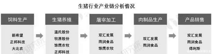 点评