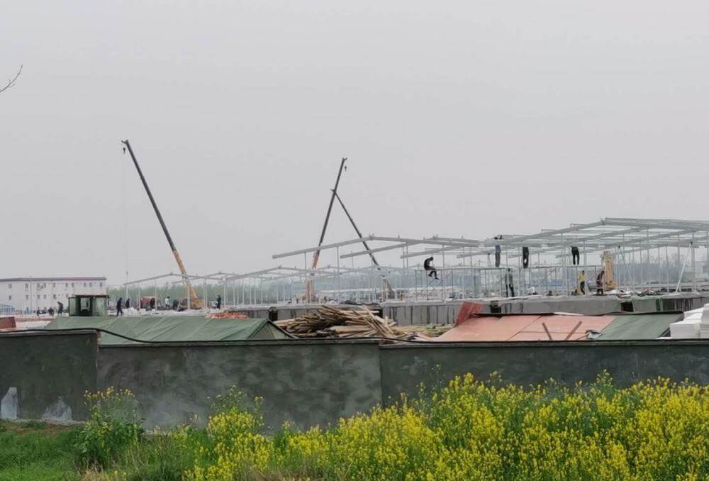 △邓州陶营镇在建养猪场△邓州陶营镇在建养猪场