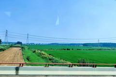 防非有道：泗洪德康太平种场：坚守在希望的田野上