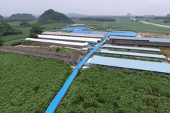 2020中国畜牧业展会，扬翔与您“湘”约长沙！